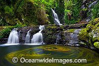 Swirling leaves floating in the water hole of Elabana Falls, situated in sub-tropical rainforest, Lamington World Heritage National Park, Queensland, Australia.