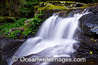 Rainforest Waterfall, situated in sub-tropical rainforest, Lamington World Heritage National Park, Queensland, Australia.
