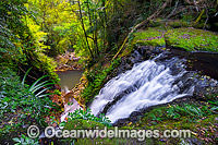 Picnic Rock Falls, situated in sub-tropical rainforest, Lamington World Heritage National Park, Queensland, Australia.