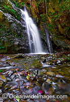 Lower Callicoma Falls, situated in the Dorrigo National Park, part of the Gondwana Rainforests of Australia World Heritage Area. New South Wales, Australia.