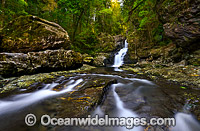 Coachwood Falls, situated in the Dorrigo National Park, part of the Gondwana Rainforests of Australia World Heritage Area. New South Wales, Australia.