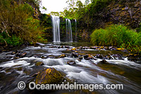 Dangar Falls, situated on the Dorrigo Plateau. Dorrigo, New South Wales, Australia.