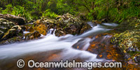 Rainforest Stream rocky rapids, situated on Urumbilum River in the Bindarri National Park, near Coffs Harbour, New South Wales, Australia.