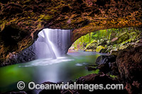 Natural Bridge, a naturally formed rock arch over Cave Creek, situated in Springbrook World Heritage National Park, Springbrook Plateau, south-east Queensland, Australia. Springbrook National Park is part of the Gondwana Rainforest.