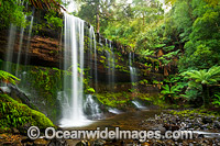 Russell Falls, situated in Mount Field National Park, Tasmania, Australia.