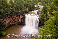 Dangar Falls, situated on the Dorrigo Plateau. Dorrigo, New South Wales, Australia