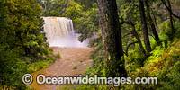 Dangar Falls, situated on the Dorrigo Plateau, near Dorrigo, New South Wales, Australia