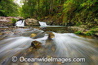 River crossing and cascade, situated at Bruxner Park Flora Reserve, near Coffs Harbour, New South Wales, Australia.