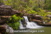 Sherwood Falls, situated in Sherwood Nature Reserve, near Glenreagh, New South Wales, Australia.