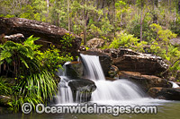 Sherwood Falls, situated in Sherwood Nature Reserve, near Glenreagh, New South Wales, Australia.