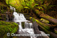 Cascade Falls. Mt Wellington, Hobart, Tasmania, Australia.