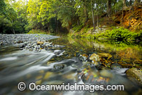 Never Never River, a rainforest stream situated in the Promised Land, near Bellingen, New South Wales, Australia.