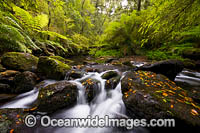 Rainforest Cascade on Five Day Creek. New England World Heritage National Park, New South Wales, Australia. This rainforest is on the World Heritage List in recognition of its outstanding universal value.