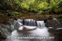 Rainforest Cascade on Five Day Creek. New England World Heritage National Park, New South Wales, Australia. This rainforest is on the World Heritage List in recognition of its outstanding universal value.
