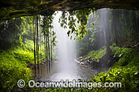 Crystal Shower Falls, situated in the Dorrigo National Park, part of the Gondwana Rainforests of Australia World Heritage Area. Dorrigo, NSW, Australia. Inscribed on the World Heritage List in recognition of its outstanding universal value.