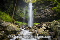Crystal Shower Falls, situated in the Dorrigo National Park, part of the Gondwana Rainforests of Australia World Heritage Area. Dorrigo, NSW, Australia. Inscribed on the World Heritage List in recognition of its outstanding universal value.