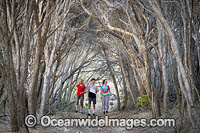 Family walking through a Tea Tree Forest. Bermagui, Sapphire Coast, Southern NSW, Australia