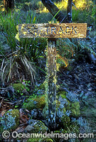 Rainforest track sign covered in mosses. New England World Heritage National Park, New South Wales, Australia