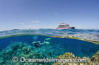 Under/over showing a Scuba Diver exploring a coral reef. Osprey Reef, Great Barrier Reef, Queensland, Australia.