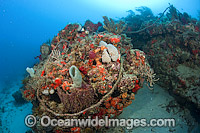 Discarded rope and debris on a Palm Beach County coral reef, Florida, USA. This debris can break corals and sponges and trap sea turtles and other marine animals.