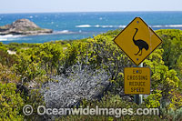 Road sign warning motorists of the presence of emus (Dromaius novaehollandiae) near roads.