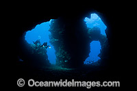 Scuba Divers explore the entrance to Second Cathedral on the Island of Lanai, Hawaii, Pacific Ocean.