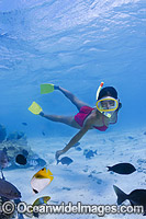 Snorkel Diver exploring a tropical coral reef, situated in the in Rarotonga inner lagoon, The Cook Islands. Pacific Ocean.