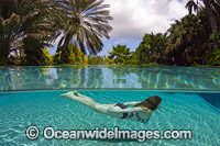 Gil swimming underwater in a resort pool on the island of Curacao, Netherland Antilles, Caribbean.