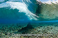 Surf crashing over a coral reef platform. Indo Pacific.