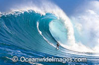 A tow-in surfer drops down the face of Hawaii's big surf at Peahi (Jaws) off Northshore Maui.