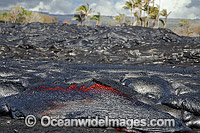 This new Pahoehoe lava flowing from Kilauea Volcano is covering an older Pahoehoe flow near Kalapana, Big Island, Hawaii.