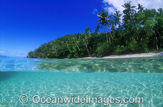 Coastal Seascape coconut palm beach photo Coastal Seascape coconut palm beach photo
