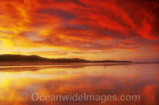 Seascape Coffs Harbour photo Seascape Coffs Harbour photo