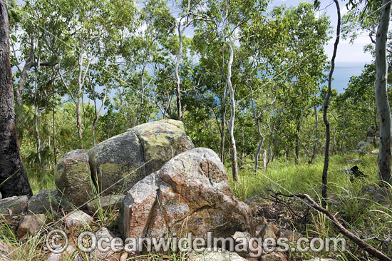 Hayman Island Whitsunday Islands photo Hayman Island Whitsunday Islands photo