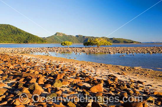 Hayman Island Whitsunday Islands photo