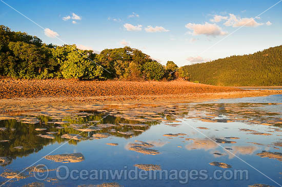 Hayman Island Whitsunday Islands photo
