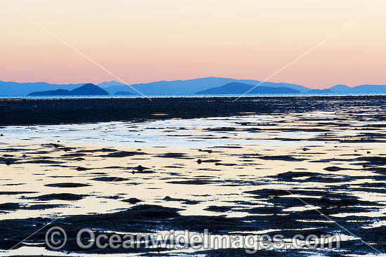 Hayman Island low tide photo