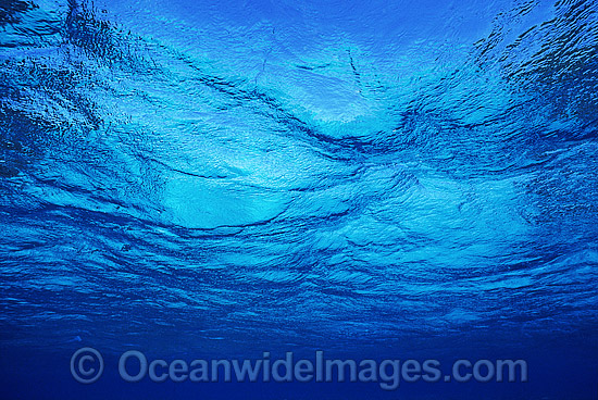 Underwater seascape Coral Sea photo