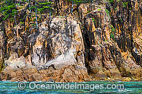 Hayman Island Whitsunday Islands Photo - Gary Bell