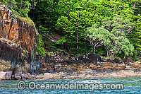Hook Island Photo - Gary Bell