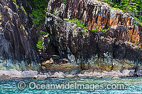 Hook Island Photo - Gary Bell