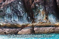 Hook Island Whitsunday Islands Photo - Gary Bell