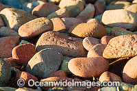 Beach Scene Photo - Gary Bell