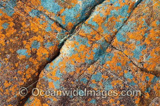 Beach rock Hayman Island photo Beach rock Hayman Island photo