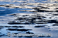 sunset reflection surface Photo - Gary Bell