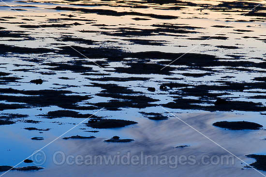 Seascape sunset surface photo