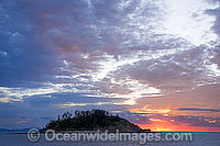 Fish coral Lord Howe Island Photo - Gary Bell