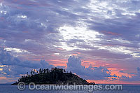 Fish coral Lord Howe Island Photo - Gary Bell