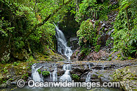 Elabana Falls Lamington National Park Photo - Gary Bell