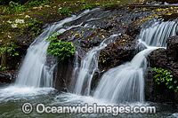 Elabana Falls Lamington National Park Photo - Gary Bell